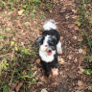 Meet your Posher, Carla